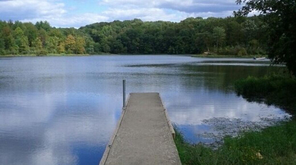 The boat launch out into Hargus Lake within A.W. Marion State Park. You can rent kayaks, paddle boats, rowboats or canoes to explore the lake and its few tiny islands.