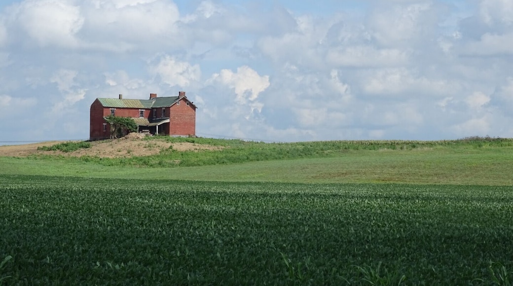 South of Circleville on route 23 sandwiched between fields of corn and soybean, lies this abandoned farmhouse.