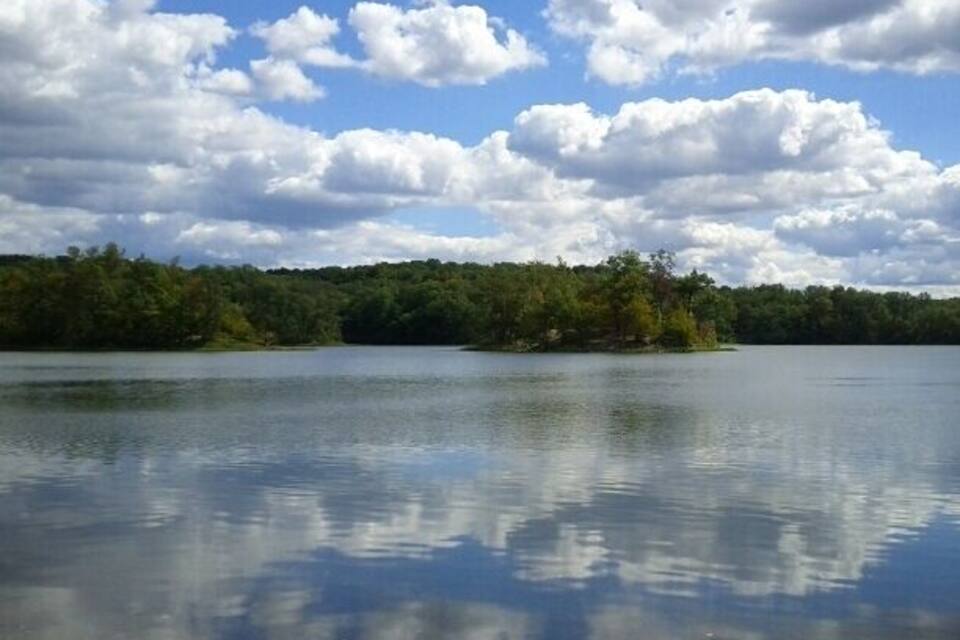 A calm lake with a forested island and a partly cloudy sky.