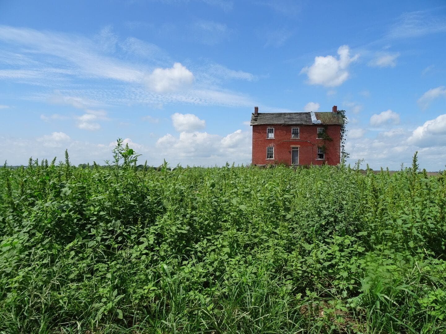 South of Circleville on route 23 sandwiched between fields of corn and soybean, lies this abandoned farmhouse.