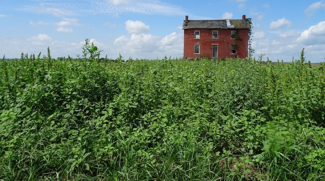 South of Circleville on route 23 sandwiched between fields of corn and soybean, lies this abandoned farmhouse.