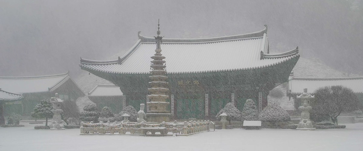 A traditional East Asian temple with a multi-tiered pagoda, surrounded by snow-covered trees and a serene landscape.