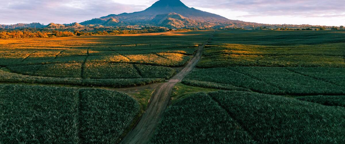 A mountain with a dirt road leading to it, surrounded by fields.
