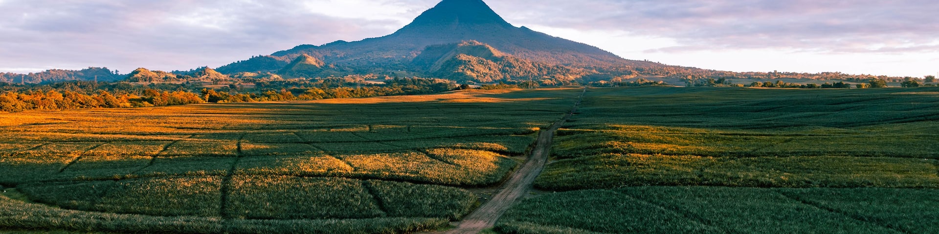A mountain with a dirt road leading to it, surrounded by fields.