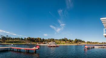 A water tower, a dock, and a Ferris wheel.