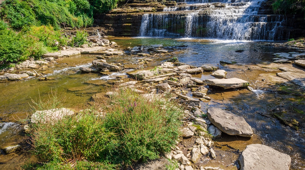 Glen Park, located on Main St. in Williamsville, NY