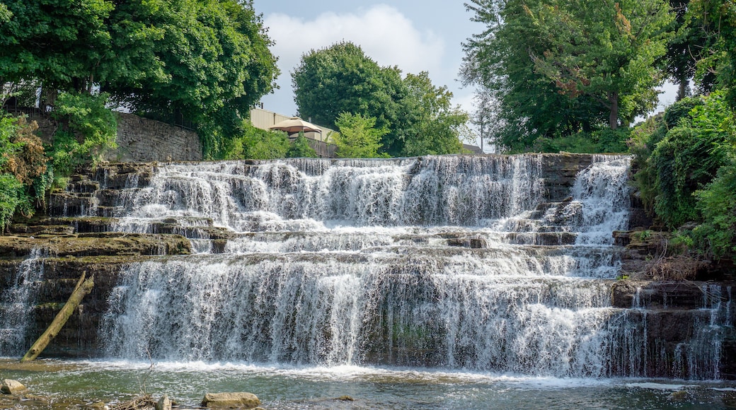 Waterfall at park in summer