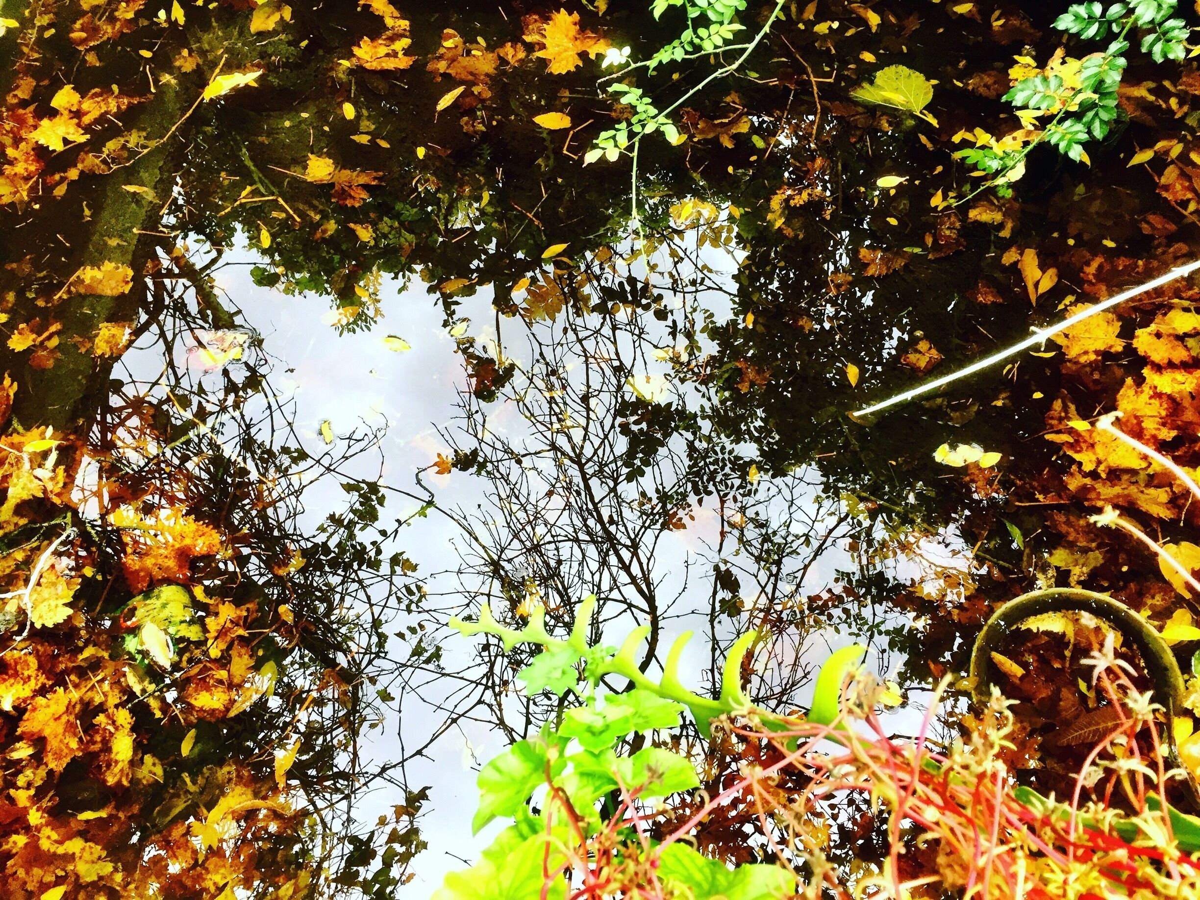 Autumn🍂🌿🍁🍃🍀🐾💚😍