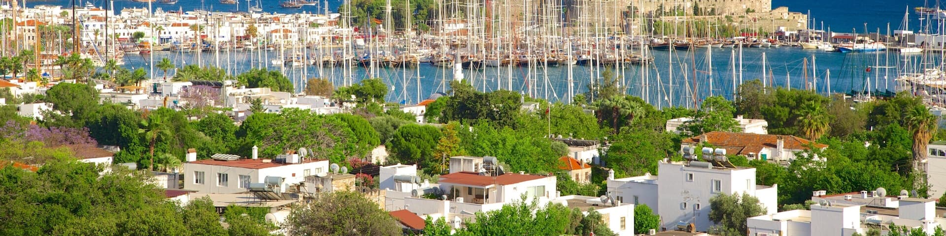 Bodrum showing a coastal town and a marina