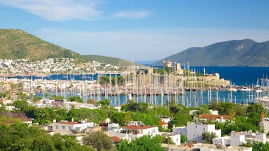 Bodrum showing a coastal town and a marina