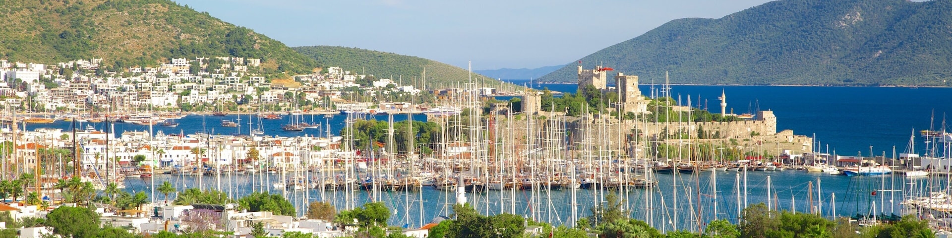 Bodrum showing a coastal town and a marina