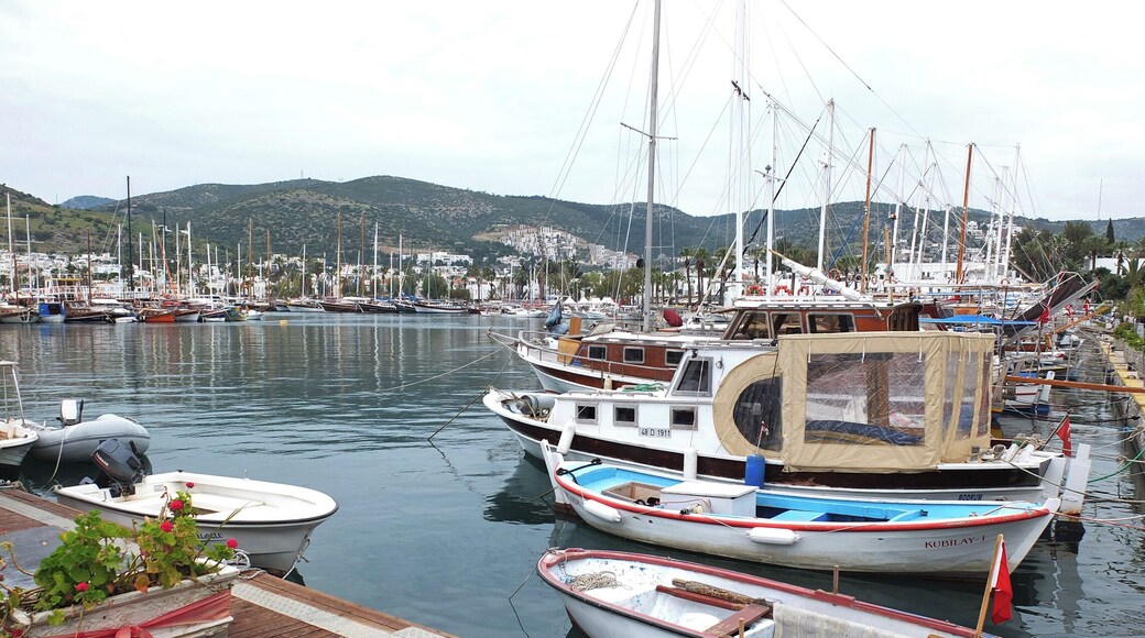 Watching the sun go down over the forest. It's one of the best places to unwind and relax after a hard week at work.