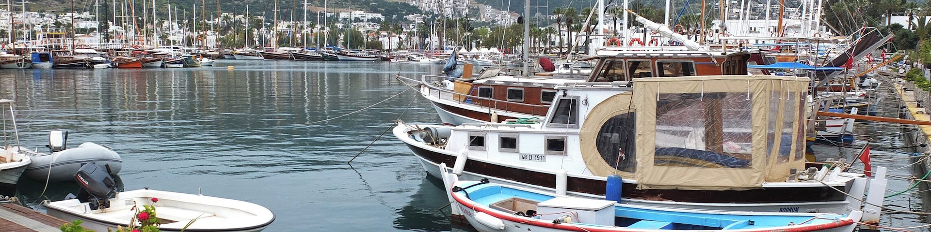 Watching the sun go down over the forest. It's one of the best places to unwind and relax after a hard week at work.