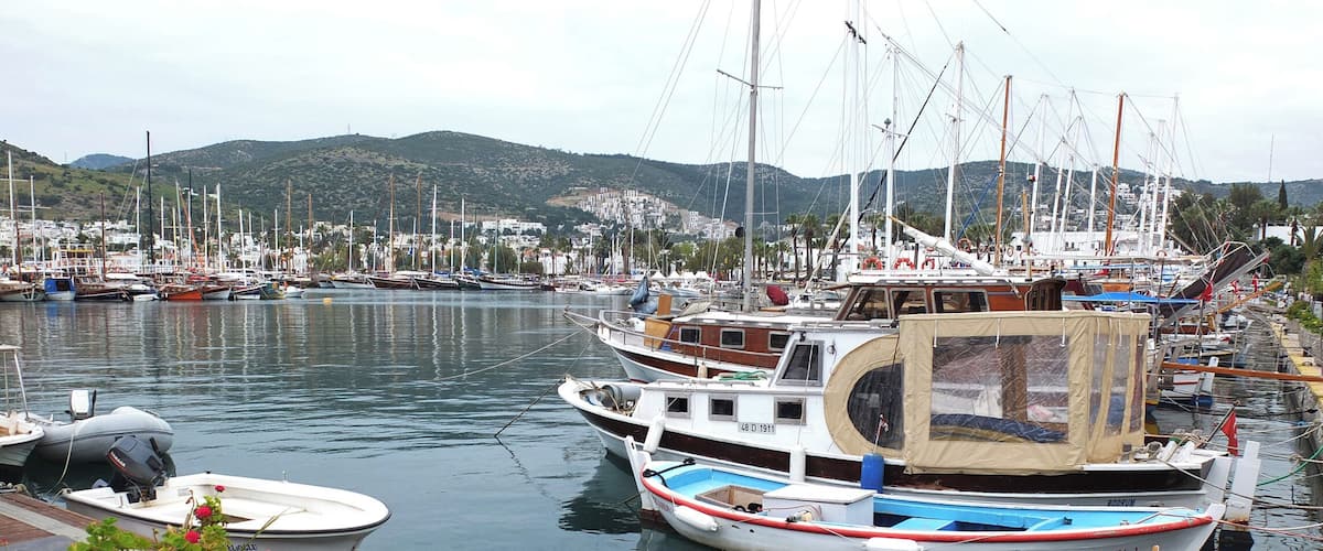 A marina with various boats docked, a wooden dock, and a backdrop of hills and buildings.