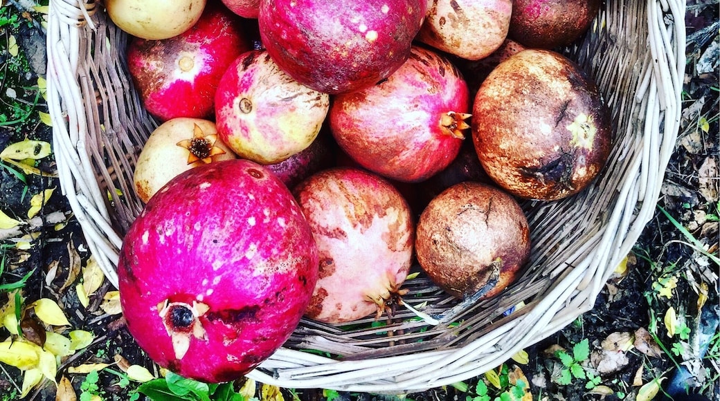 Pomegranates😍👌