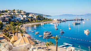 A coastal town with a marina filled with boats, a beach, and residential buildings.