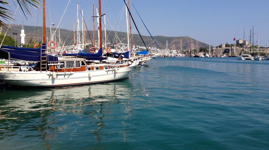 Took this picture in the marina of Bodrum, Turkey.