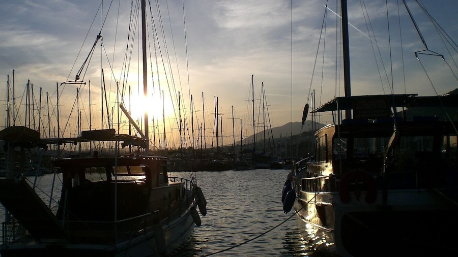 Bodrum Marina
