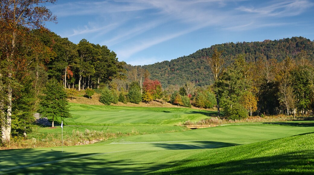 Behind the Green to Fairway Fall Mountain View