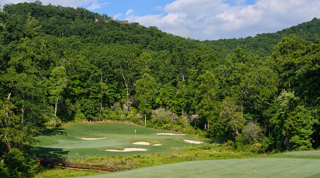 The Beauty of the Par 3 Golf Hole