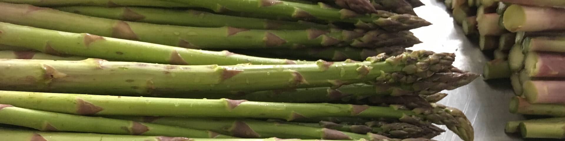 Picking asparagus at our organic family farm in the Blue Ridge Mountains! #SpringFun