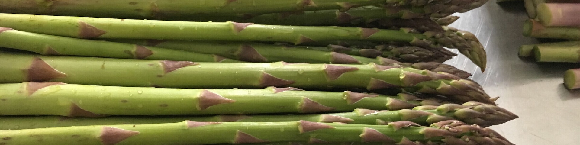 Picking asparagus at our organic family farm in the Blue Ridge Mountains! #SpringFun