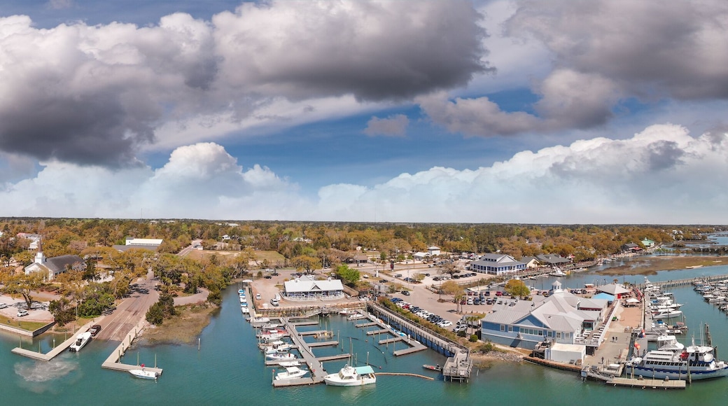 Panoramic aerial view of Georgetown skyline, South Carolina, USA