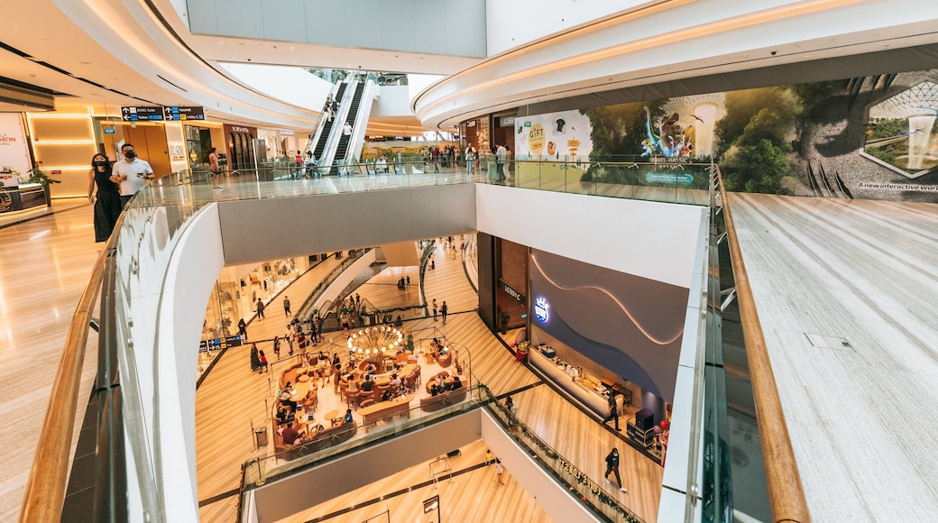 Jewel Changi Airport which includes shopping and interior views