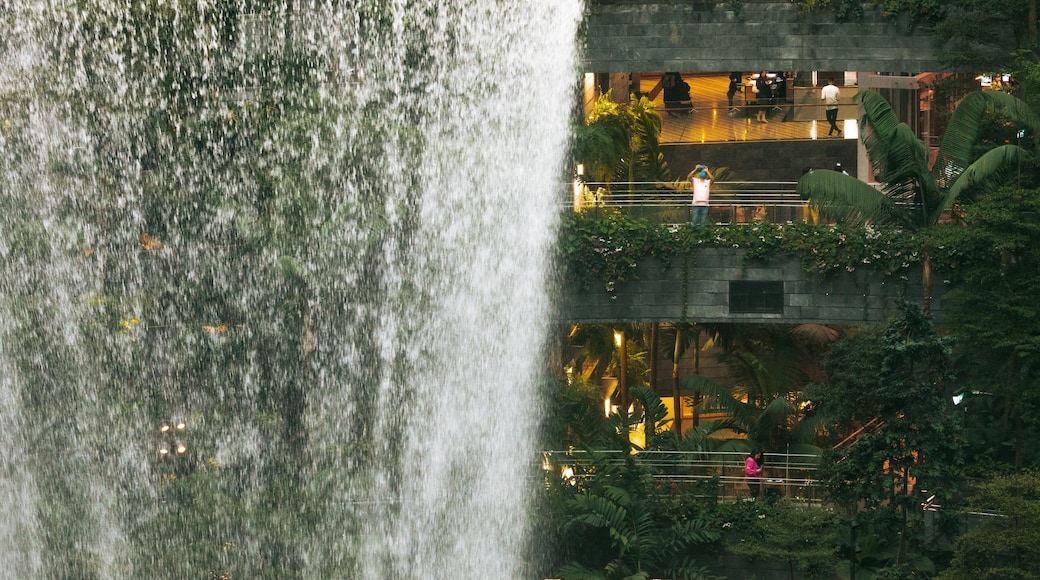 Jewel Changi Airport which includes a garden, interior views and a fountain