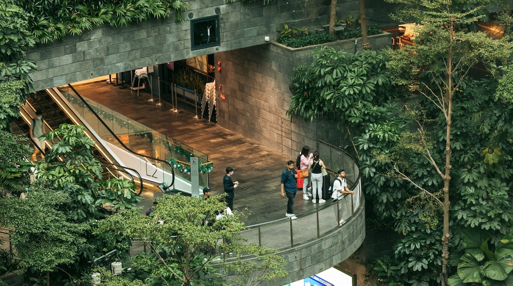 Jewel Changi Airport featuring interior views and a park as well as a small group of people