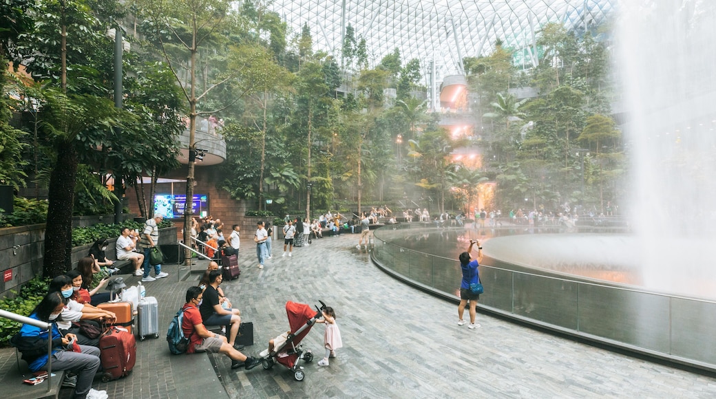 Jewel Changi Airport featuring a fountain and interior views as well as a large group of people
