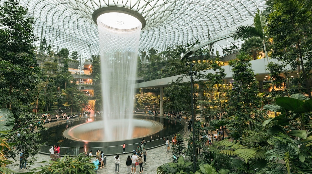 Jewel Changi Airport featuring a garden, a fountain and interior views