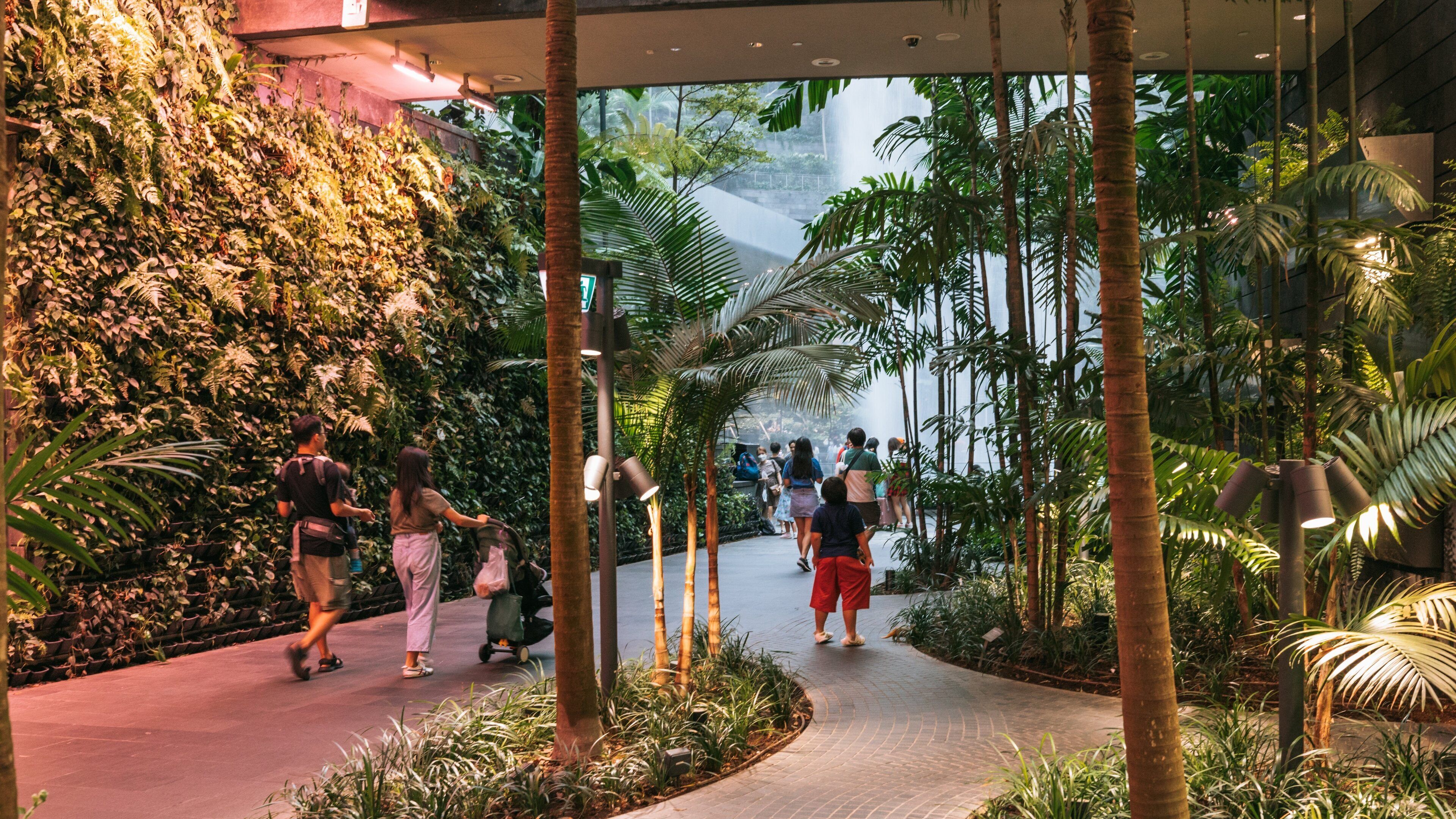 Jewel Changi Airport featuring a park