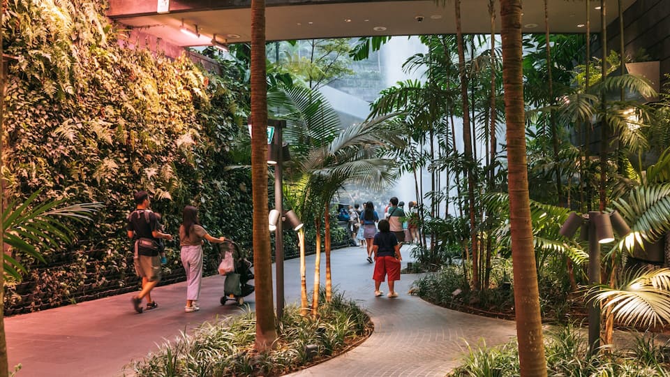 Jewel Changi Airport featuring a park