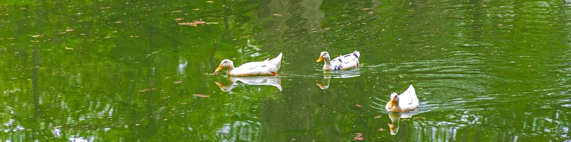 Scenic View of the Bandera City Park, Texas, just before the solar eclipse of April 8, 2024