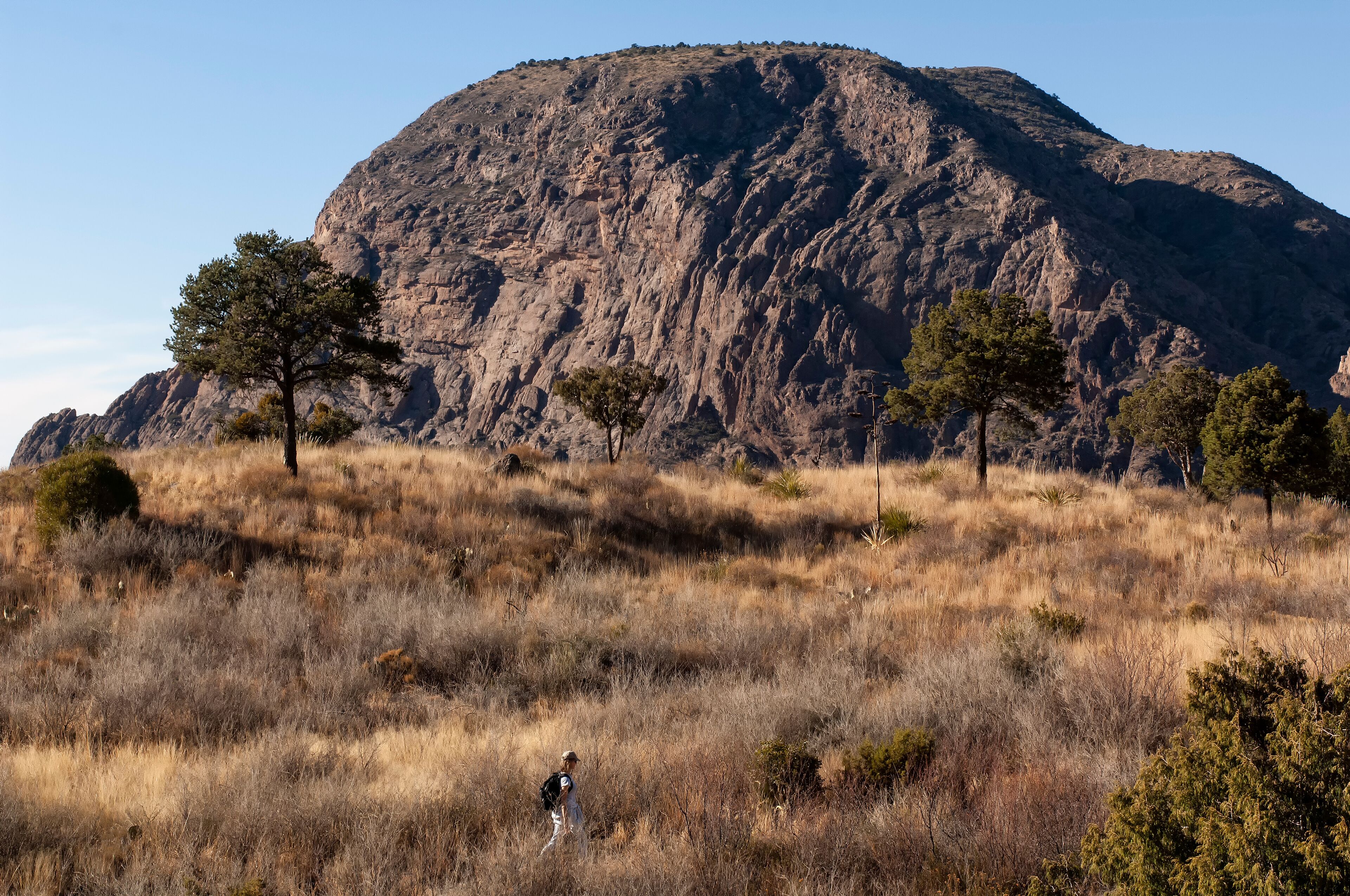 Vernon Bailey Peak from Chisos Basin;  Big Bend Nat Park;  TX