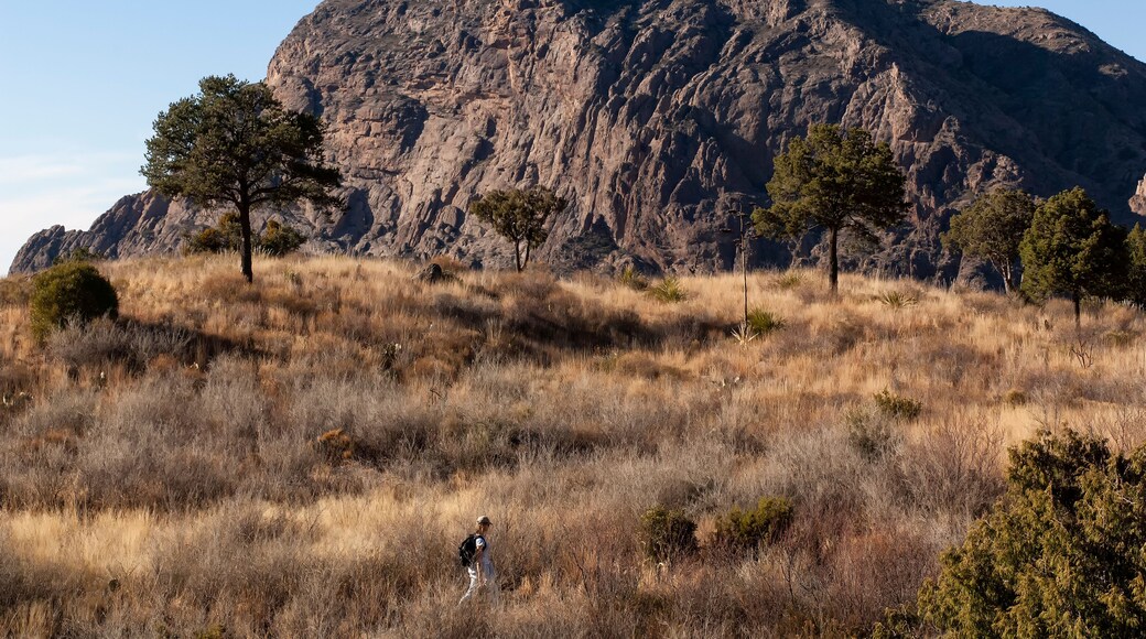 Vernon Bailey Peak from Chisos Basin; Big Bend Nat Park; TX