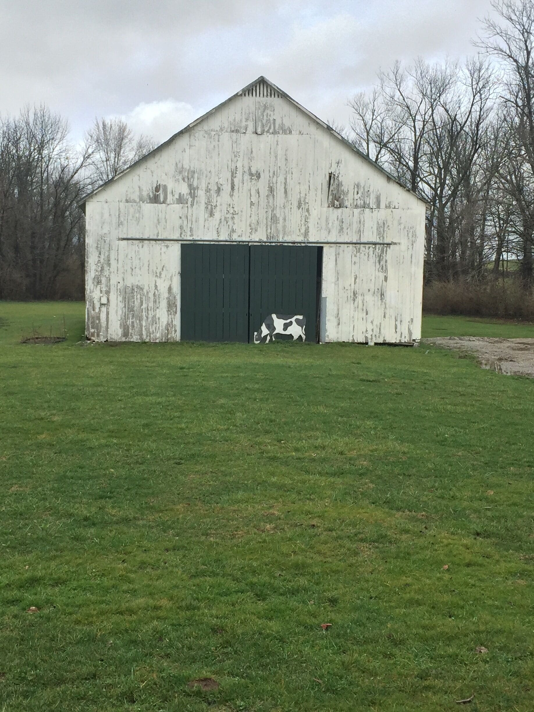 I love finding old barns