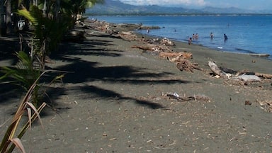 Beach treasure washes up regularly in the island.