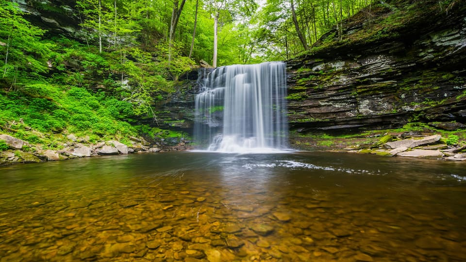 A waterfall in a forested area with clear water and surrounding greenery.