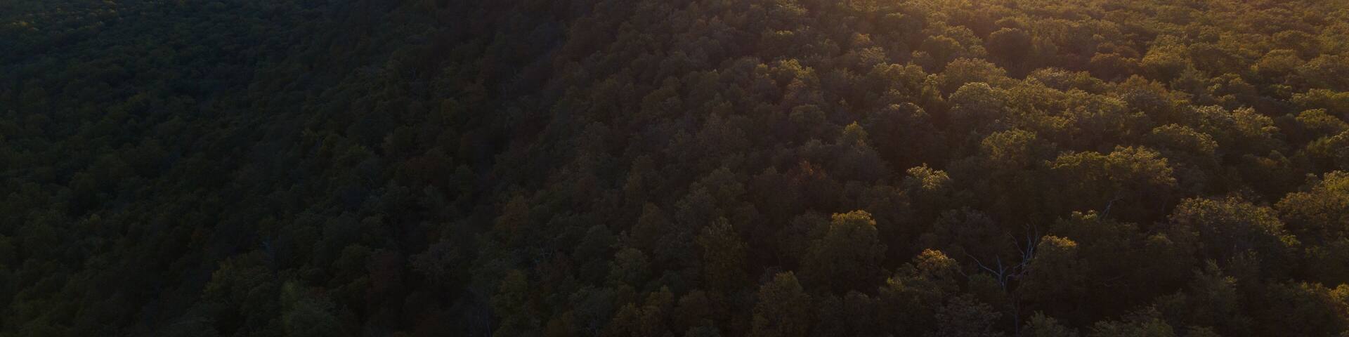 Drone shot of Delaware water gap PA river national park during summer fall foliage with sunset on the mountain side of forest view