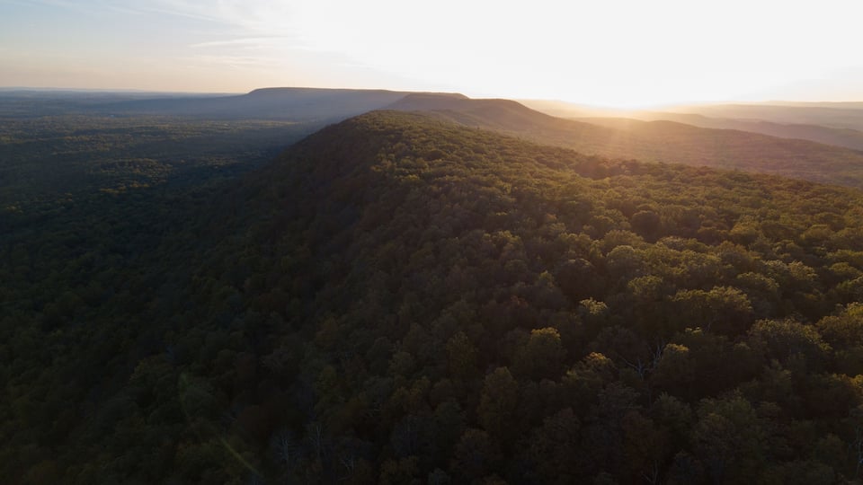 A forested mountain range with a sunrise or sunset.
