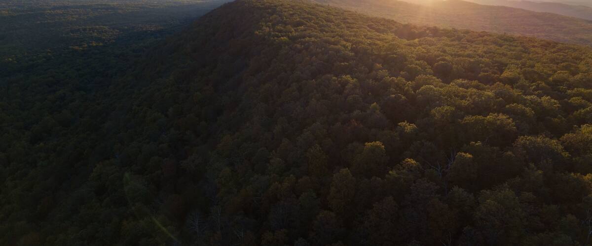 A forested mountain range with a sunrise or sunset.