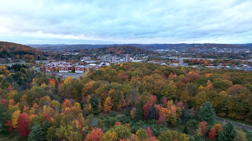 arial view of binghamton university in vestal, new york during autumn with fall foliage (leaves changing colors) at dusk, sunset, cloudy sky (library tower, student union, mountainview residence hall)