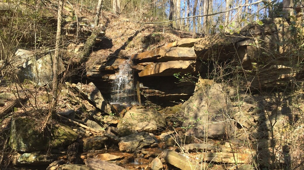 Visit Frugal Family Travelers blog to learn more about this great location, to receive the travel itinerary and to discover more great places like this:
Boulder Hills Natural Area
http://www.frugalfamilytravelers.blogspot.com/2016/02/4-outdoor-jewels-in-alabama.html
Follow us on:
Facebook: https://www.facebook.com/frugalfamilytravelers
Twitter: @FrugalFamTrav