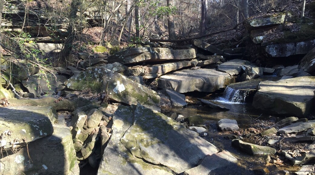 Visit Frugal Family Travelers blog to learn more about this great location, to receive the travel itinerary and to discover more great places like this:
Boulder Hills Natural Area
http://www.frugalfamilytravelers.blogspot.com/2016/02/4-outdoor-jewels-in-alabama.html
Follow us on:
Facebook: https://www.facebook.com/frugalfamilytravelers
Twitter: @FrugalFamTrav
