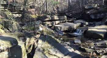 Visit Frugal Family Travelers blog to learn more about this great location, to receive the travel itinerary and to discover more great places like this:
Boulder Hills Natural Area
http://www.frugalfamilytravelers.blogspot.com/2016/02/4-outdoor-jewels-in-alabama.html
Follow us on:
Facebook: https://www.facebook.com/frugalfamilytravelers
Twitter: @FrugalFamTrav