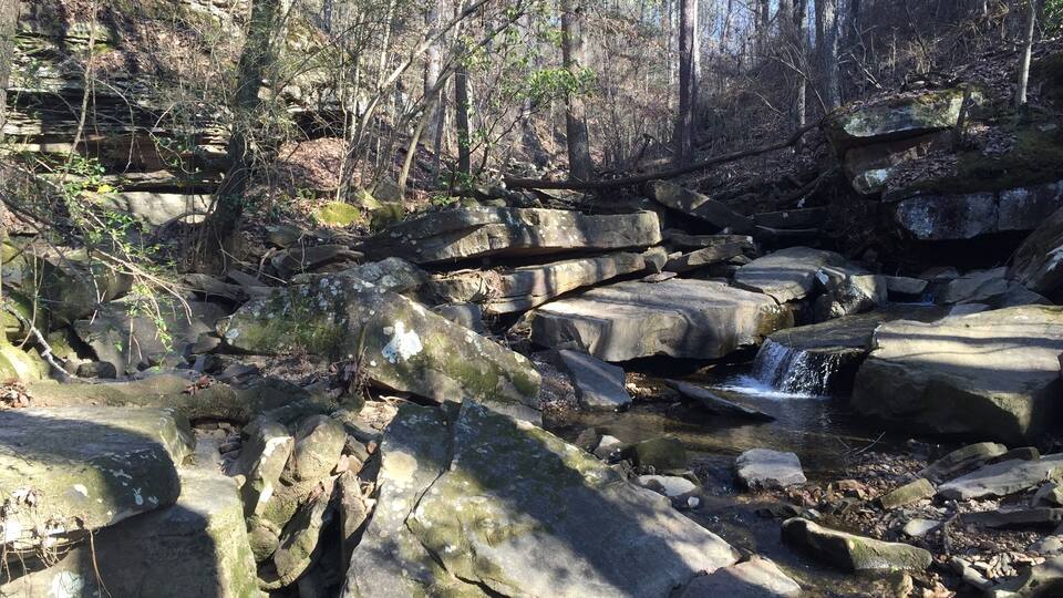 Visit Frugal Family Travelers blog to learn more about this great location, to receive the travel itinerary and to discover more great places like this:
Boulder Hills Natural Area
http://www.frugalfamilytravelers.blogspot.com/2016/02/4-outdoor-jewels-in-alabama.html
Follow us on:
Facebook: https://www.facebook.com/frugalfamilytravelers
Twitter: @FrugalFamTrav