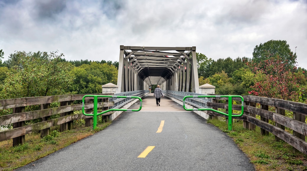 A pedestrian bridge with a metal arch structure, surrounded by greenery and a wooden fence.