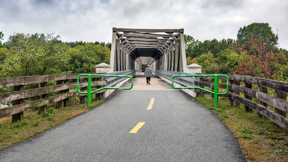 A pedestrian bridge with a metal arch structure, surrounded by greenery and a wooden fence.